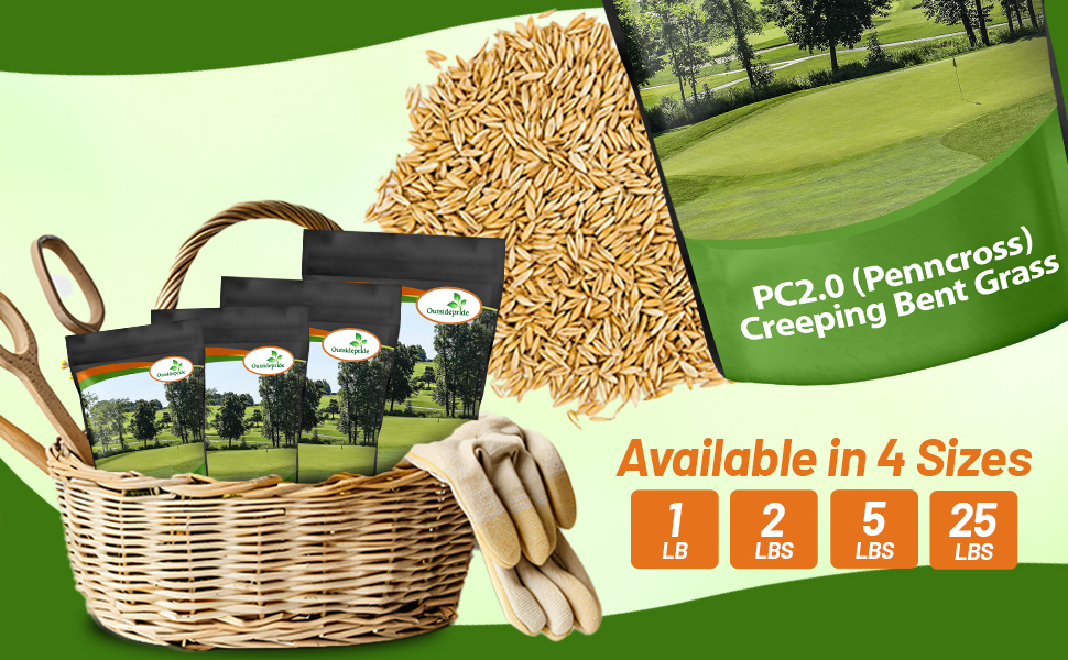 PC2.0 Putting Green Seed