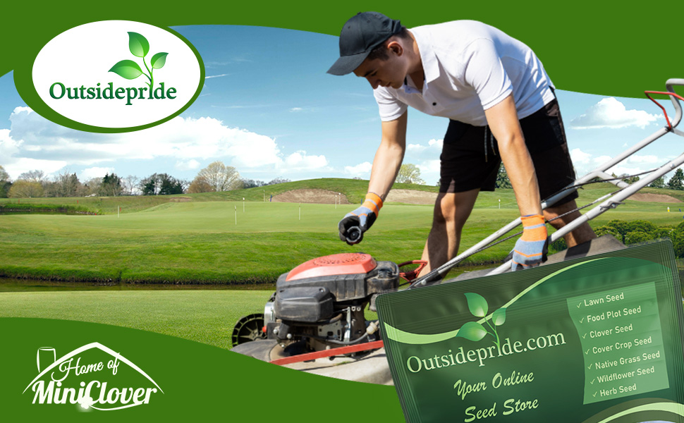 Royal TXD Bermuda Grass Seed