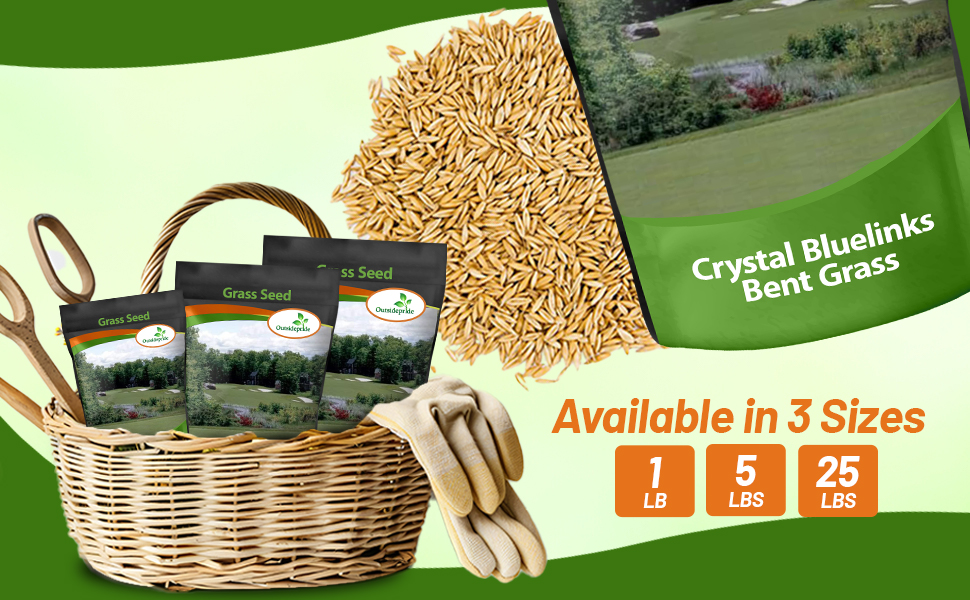 Bulk Crystal Bluelinks Putting Green Seed