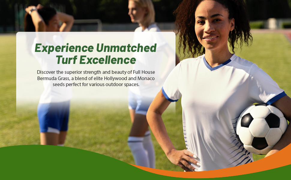 Full House Dense Turf Bermuds Grass Seed For Sports Fields