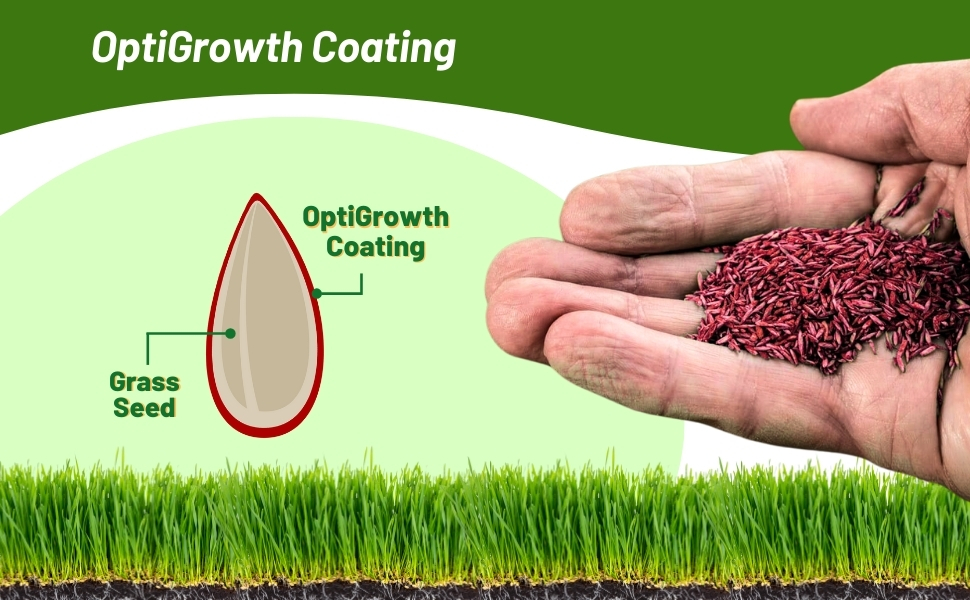 OptiGrowth Coated Bluegrass Supreme Lawn Grass Seeds For Rapid Establishment