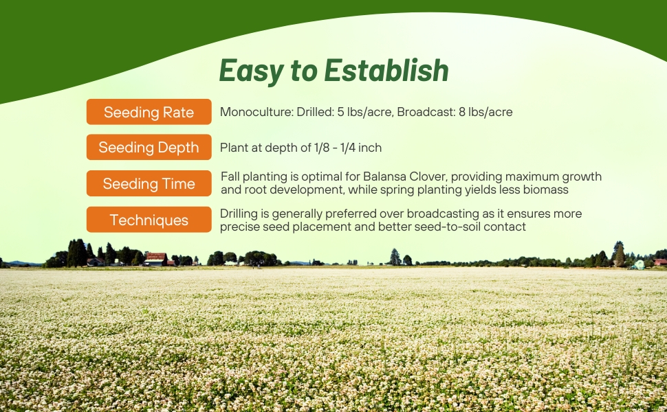 Seed Rate & Planting Time For Balansa Clover Seed