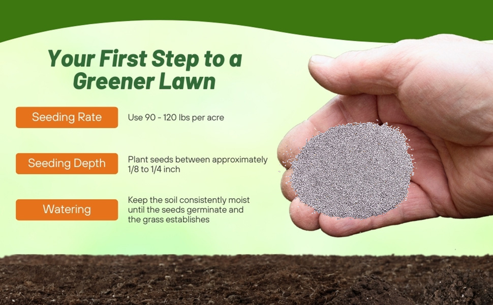 Yukon Bermuda Seed Rate & Planting Time