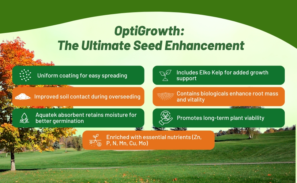 OptiGrowth Coated Creeping Red Fescue Lawn Grass Seed