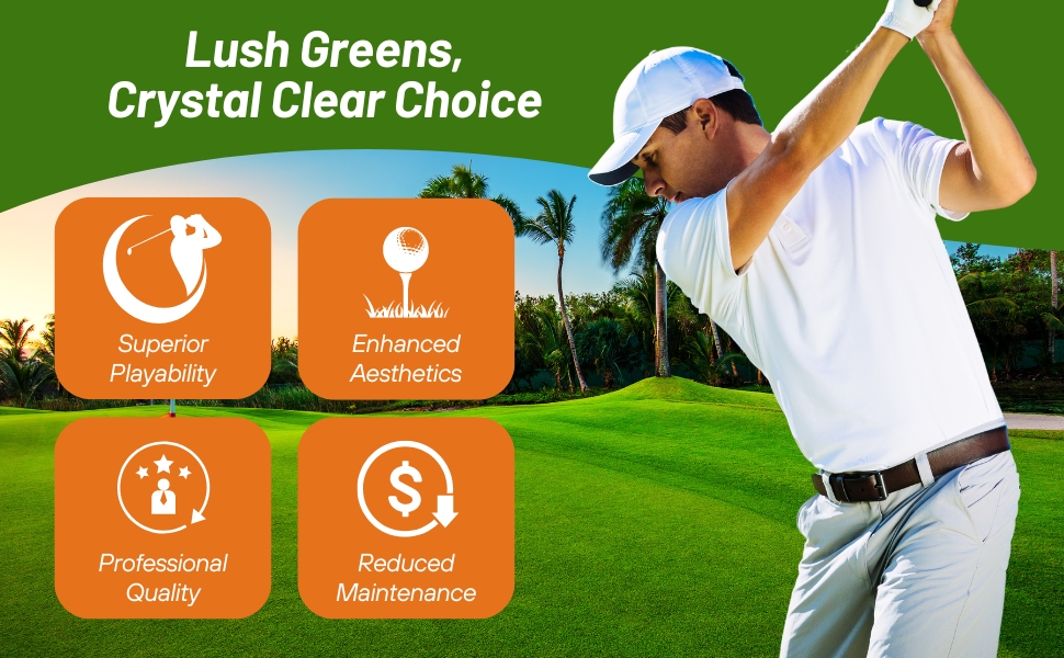 Professional Quality Crystal Bluelinks Putting Green Golf Course Bent Grass Seed
