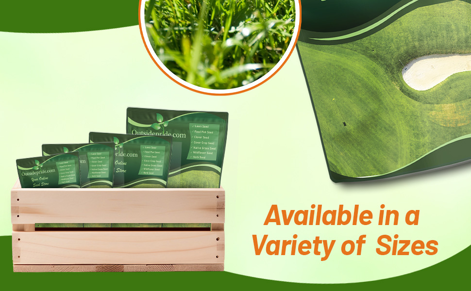 Oasis Bermuda Grass Seed Blend