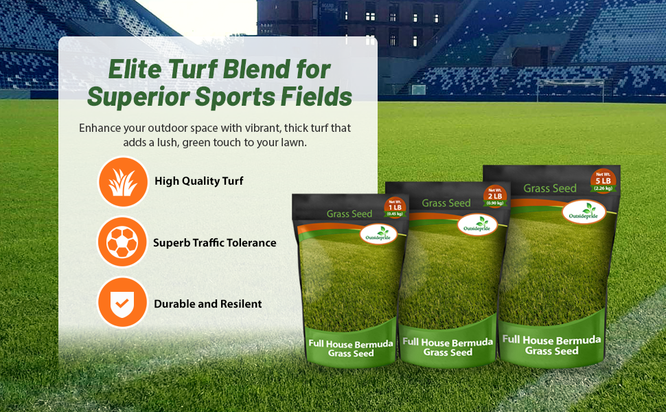 Full House Bermuda Sports Field Bermuda Grass Seed
