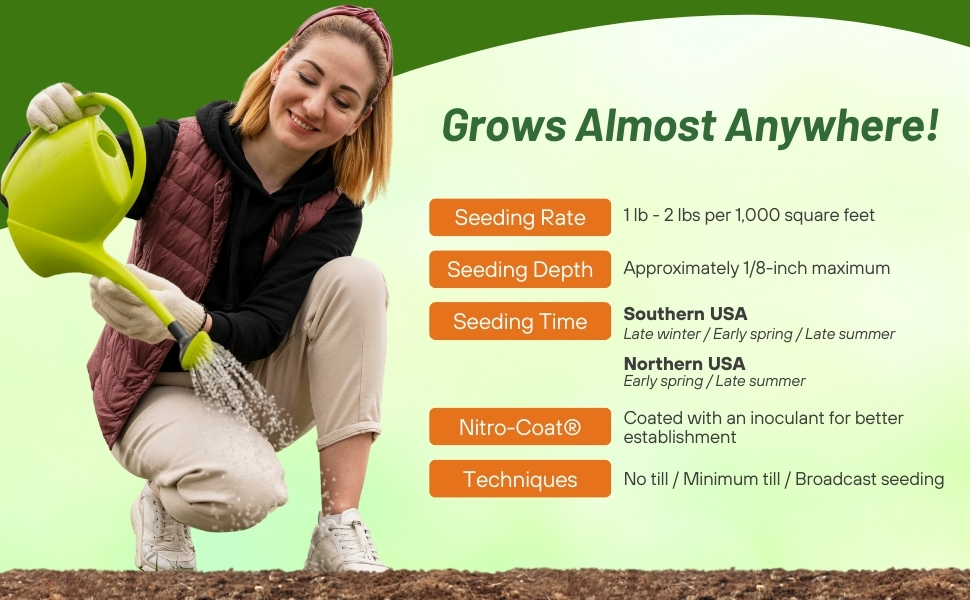 Miniclover Seeding & Planting Rates For Ground Cover