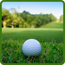 T-1 Water Conservation Putting Green Seed