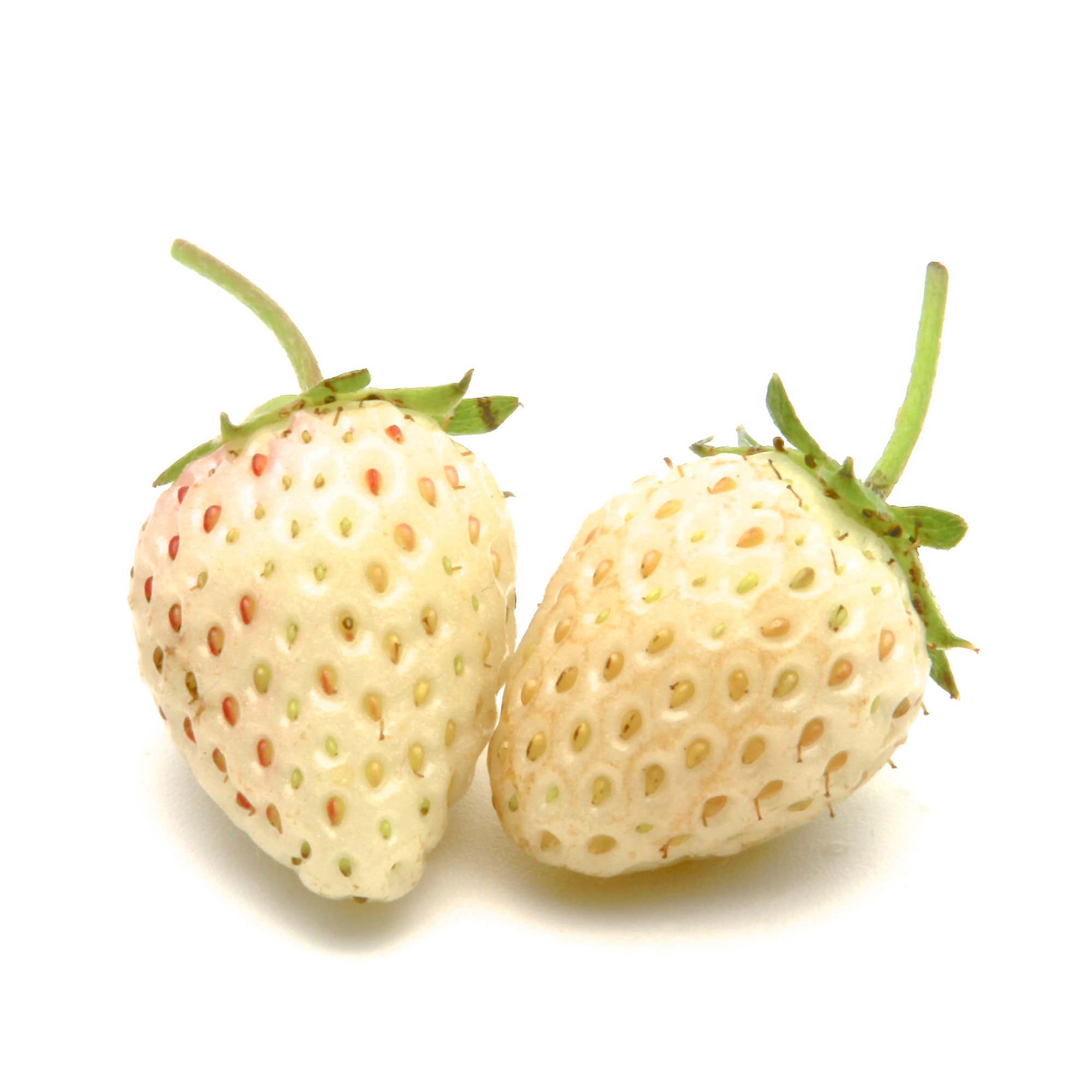 Диффузор Fragaria Strawberries