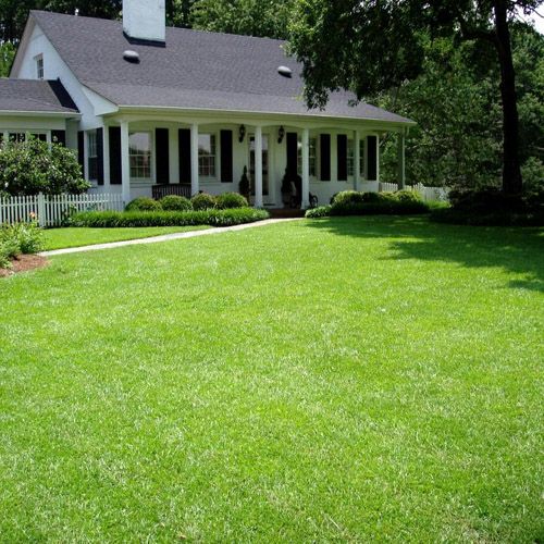 weed killer for centipede lawn