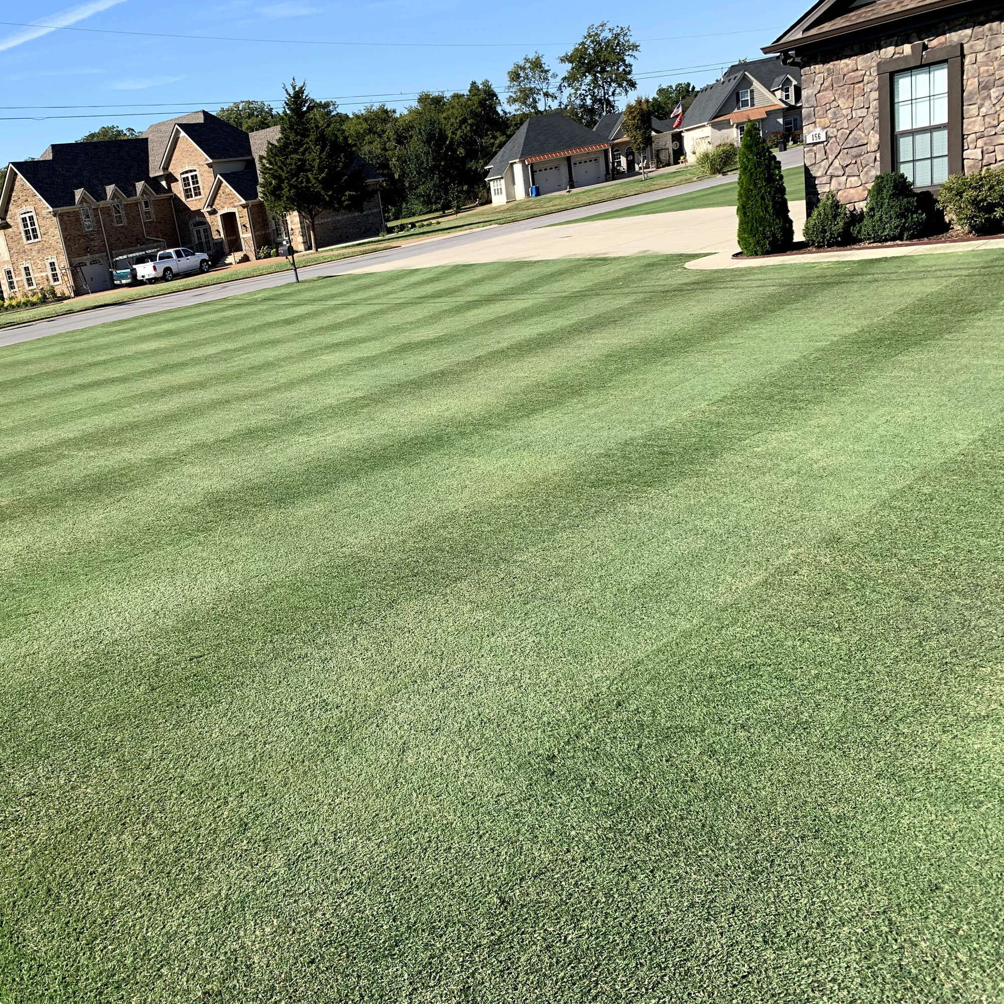 Yukon Bermuda Grass Seed - Yukon Bermuda Putting Grass Seed