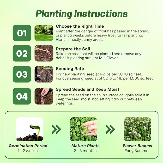 Microclover Planting Methods