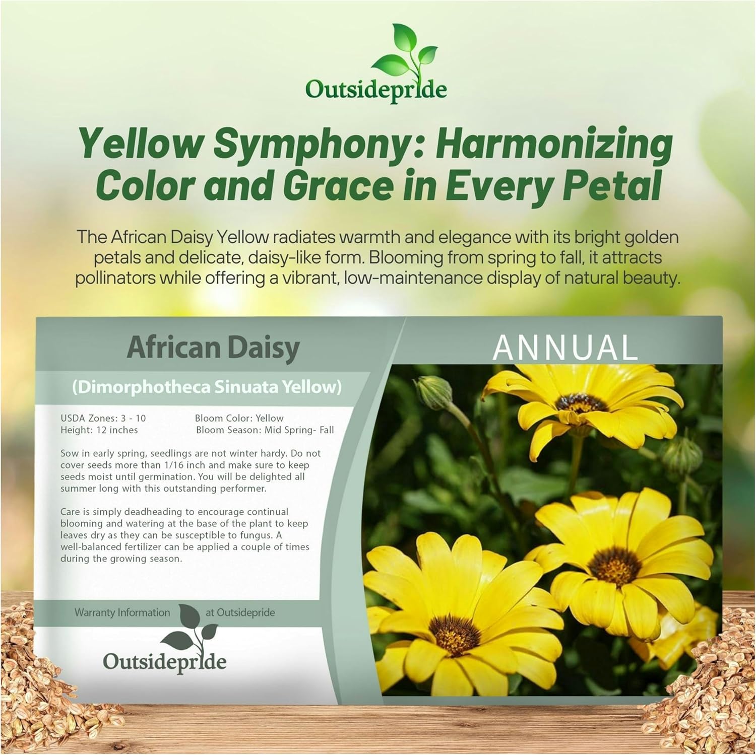 African Daisy Yellow Seed Packet