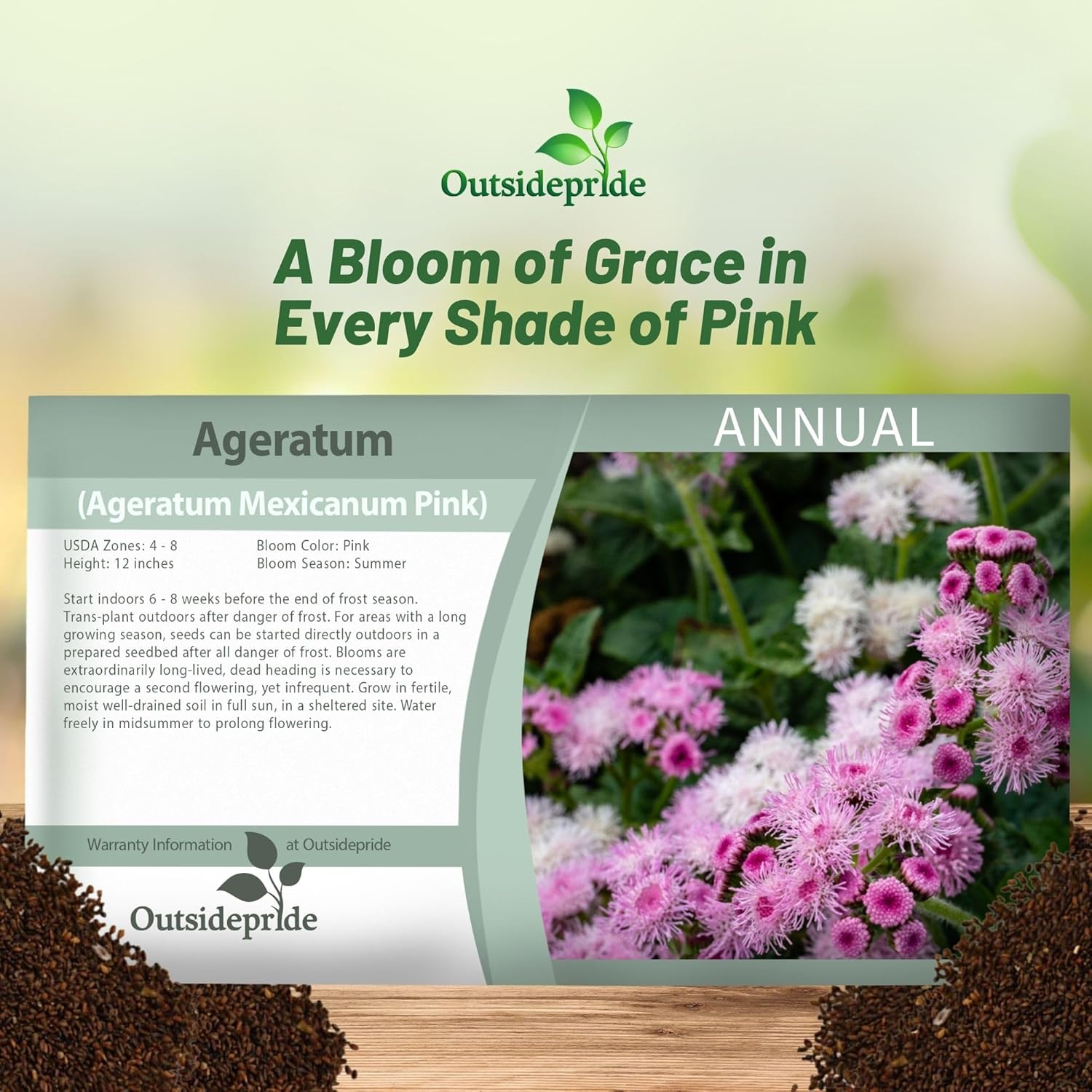 Ageratum Pink Seed Packet For Planting