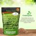 Vernal Alfalfa Seed Bag