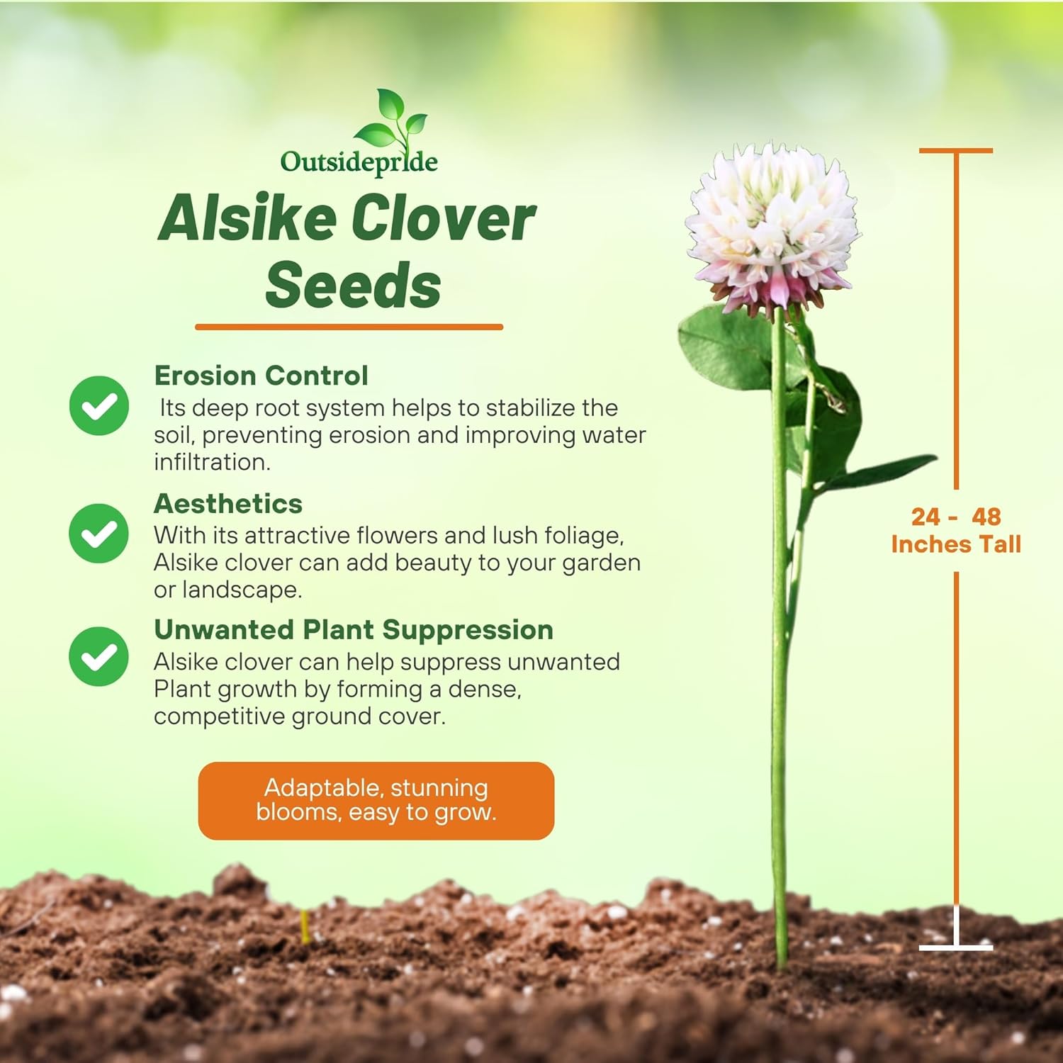 Alsike Clover Planting Directions