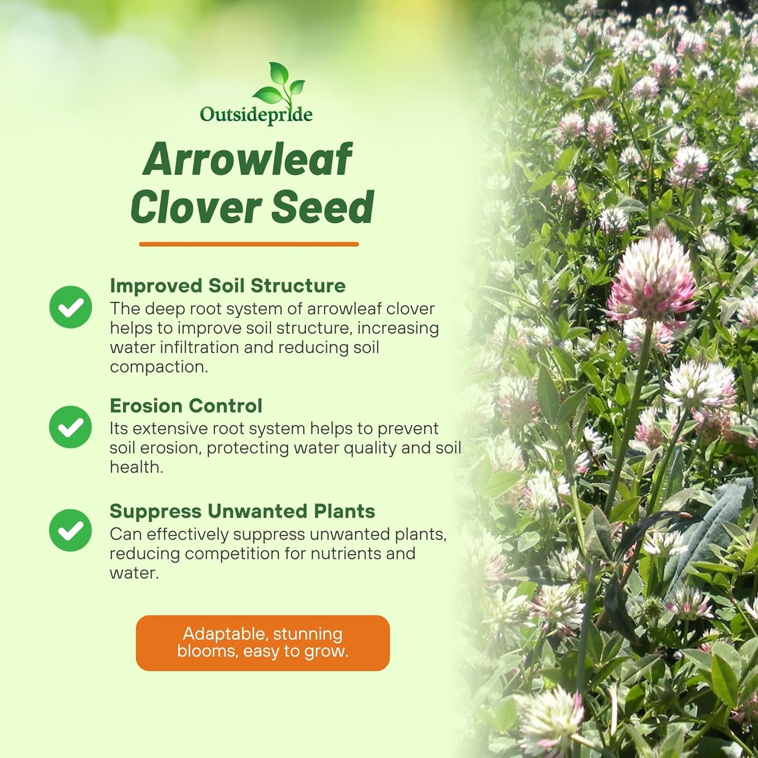 Arrowleaf Clover Planting Directions