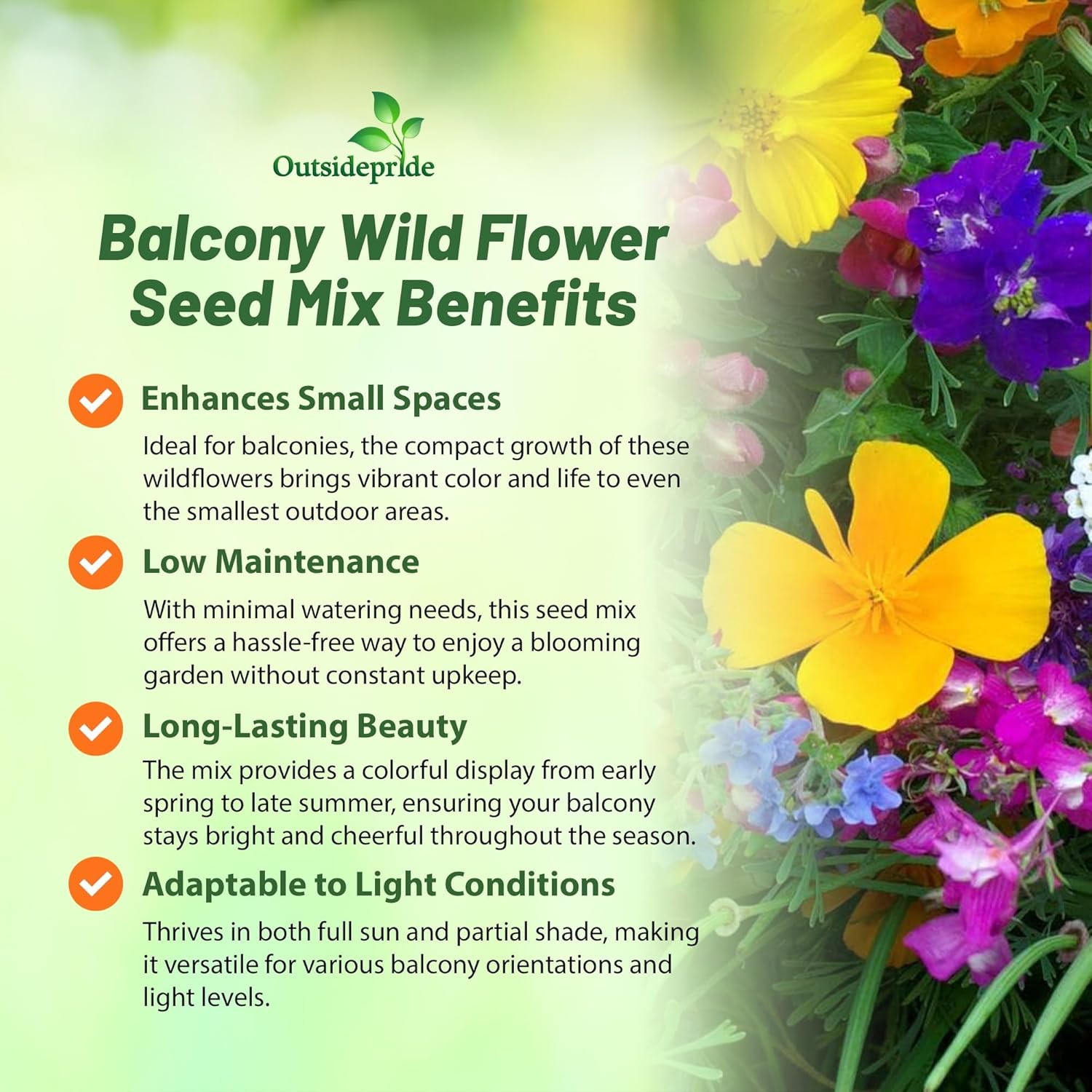 Balcony Wildflower Seed Mix