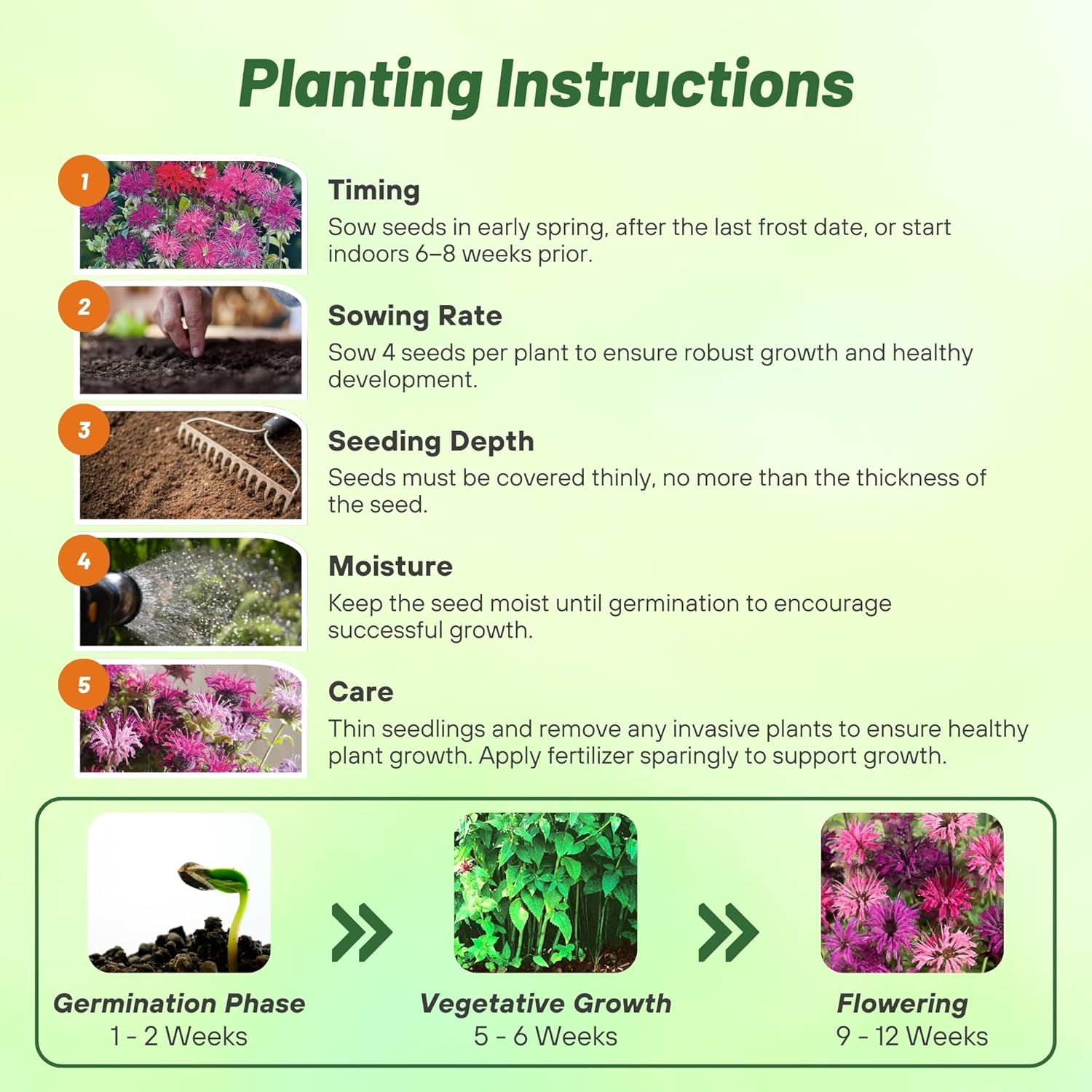 Bee Balm Mix Planting Directions