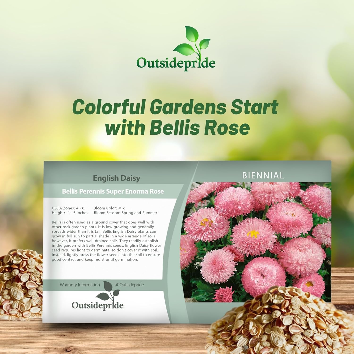 Bellis Perennis Rose Seed Packet