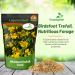 Birdsfoot Trefoil Seed Bag