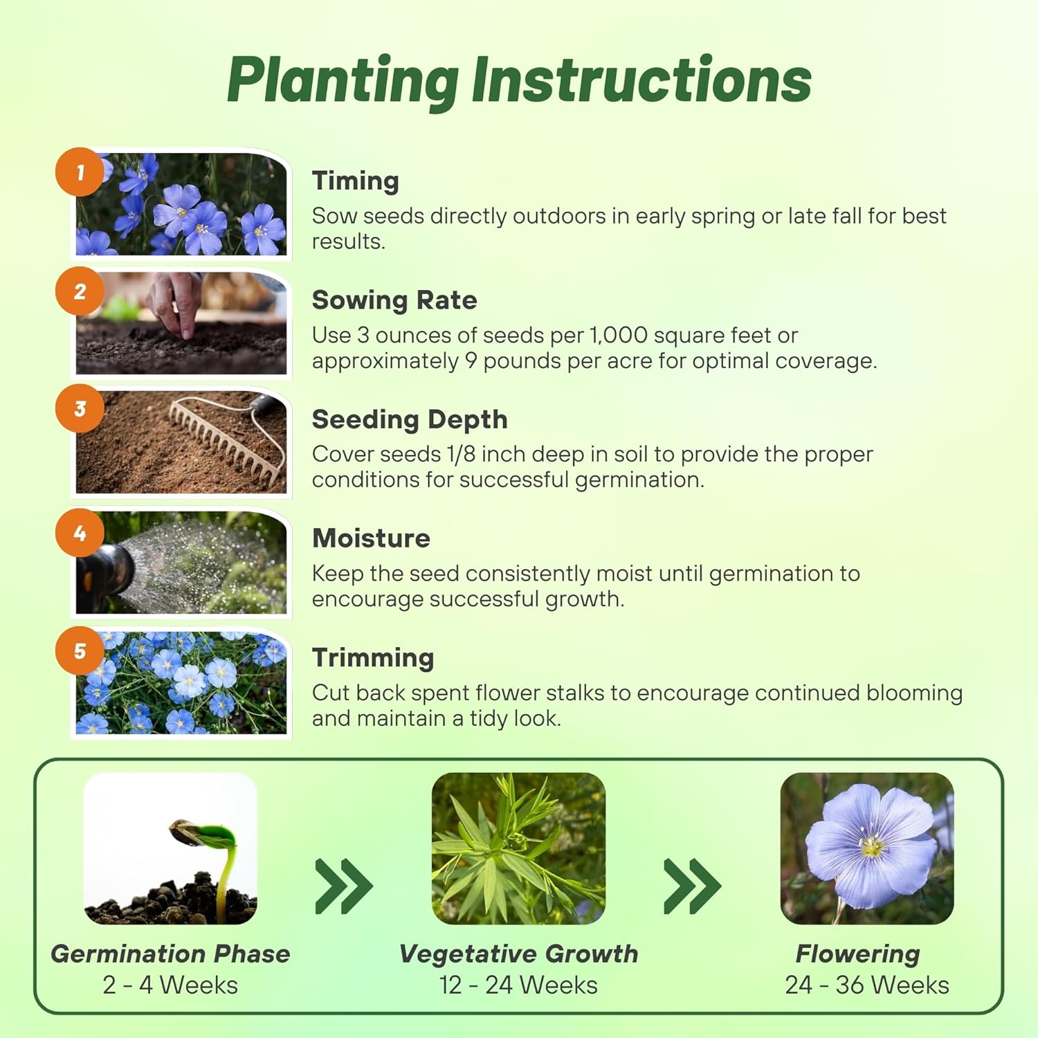 Blue Flax Planting Directions