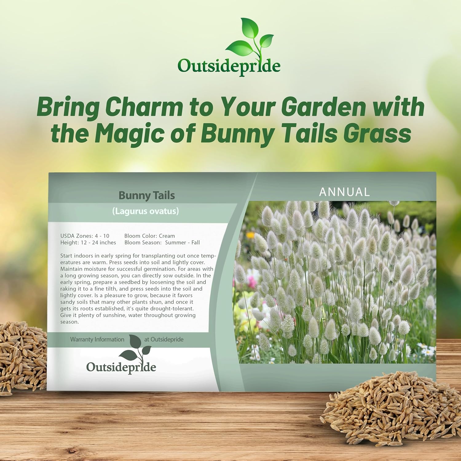 Lagurus Ovatus Bunny Tails Seed Packet