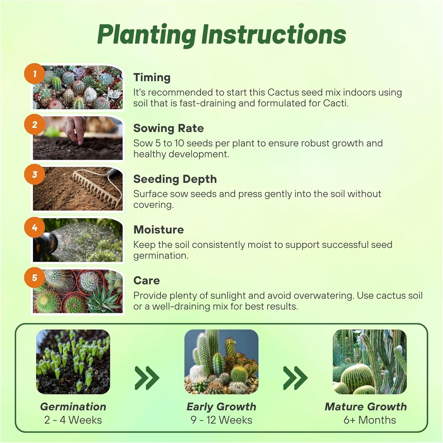 Cactus Seed Planting Directions