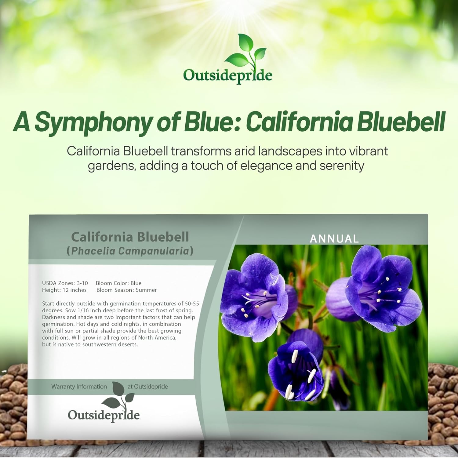 California Bluebell Seed Packet