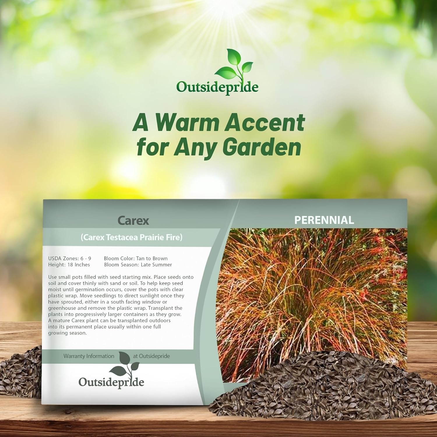 Carex Testacea Seed Packet