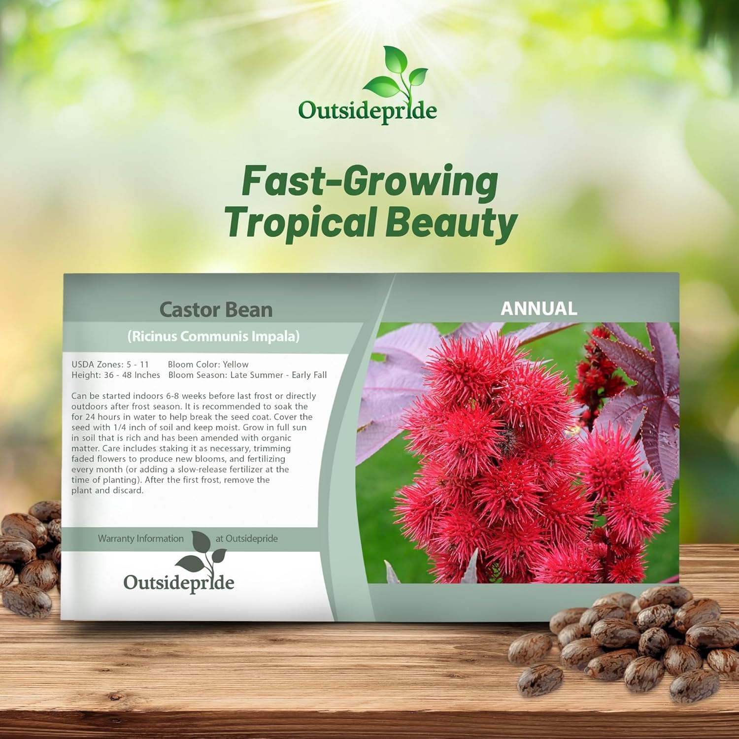 Castor Bean Impala Seed Packet