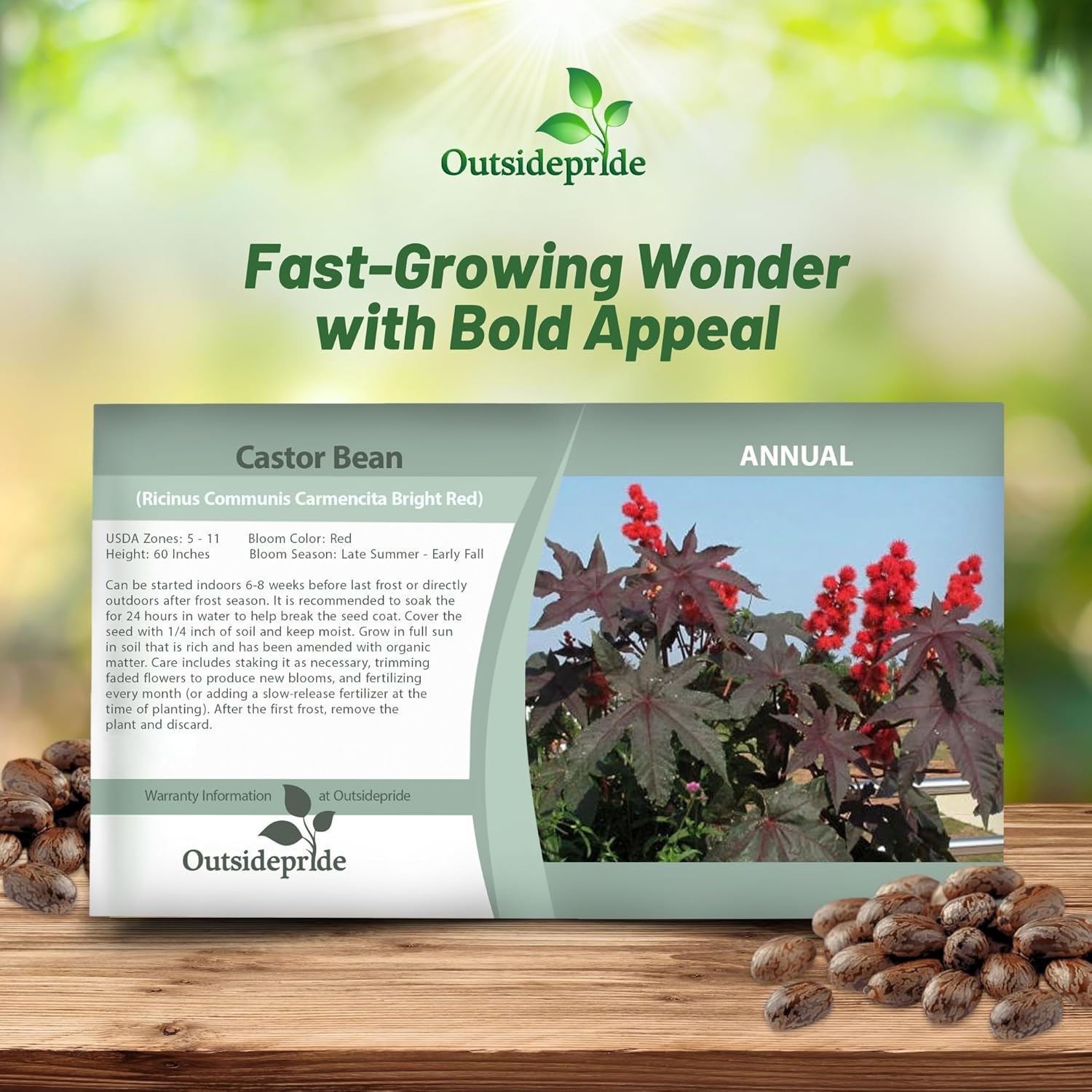 Ricinus Communis Castor Bean Bright Red