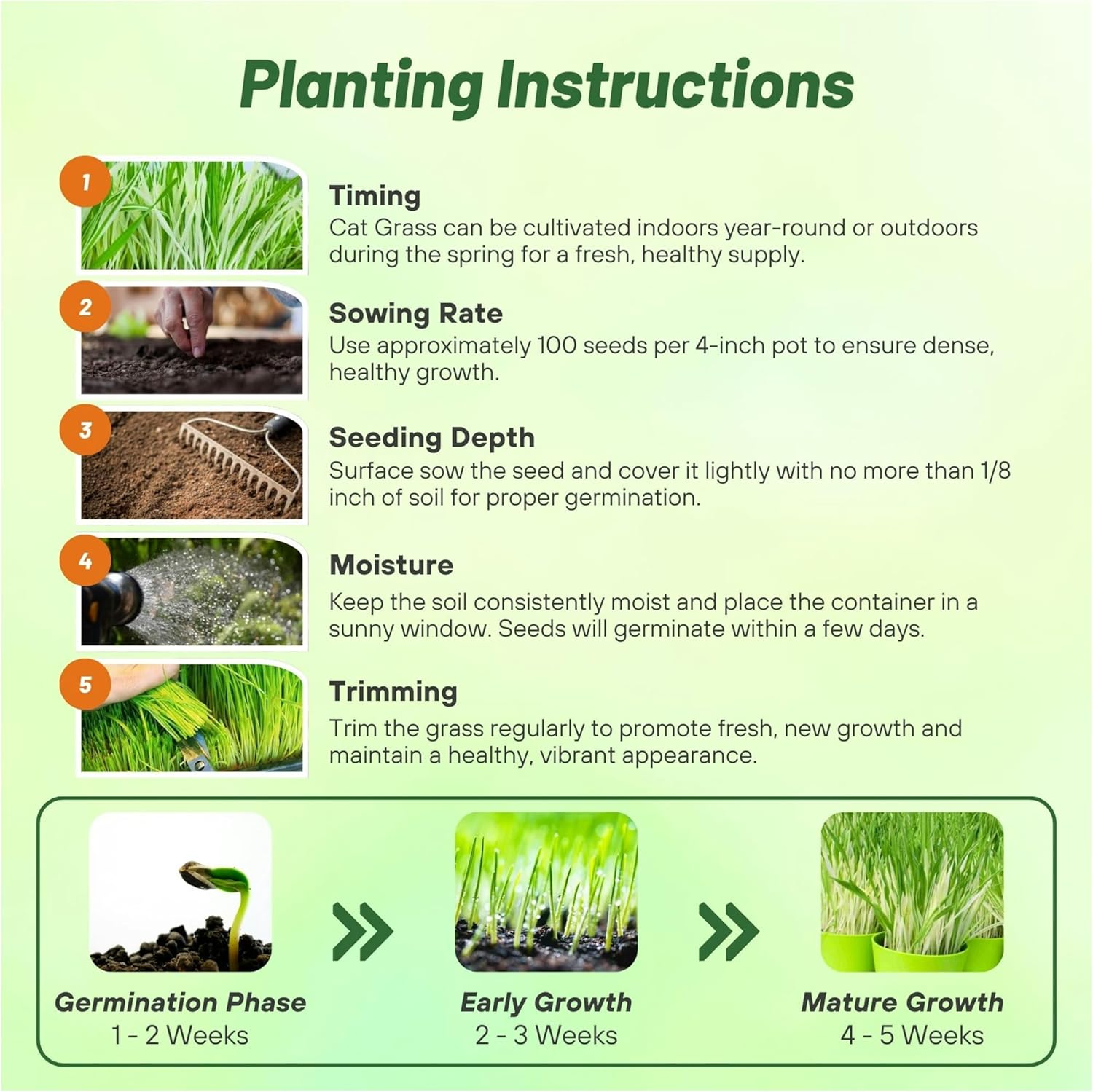 Hordeum Vulgare Cat Grass Planting Directions