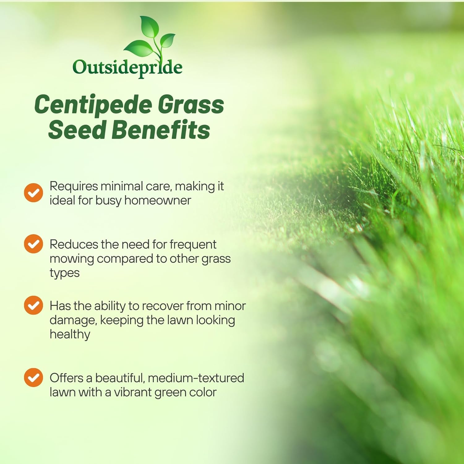 Centipede Grass Seed Benefits