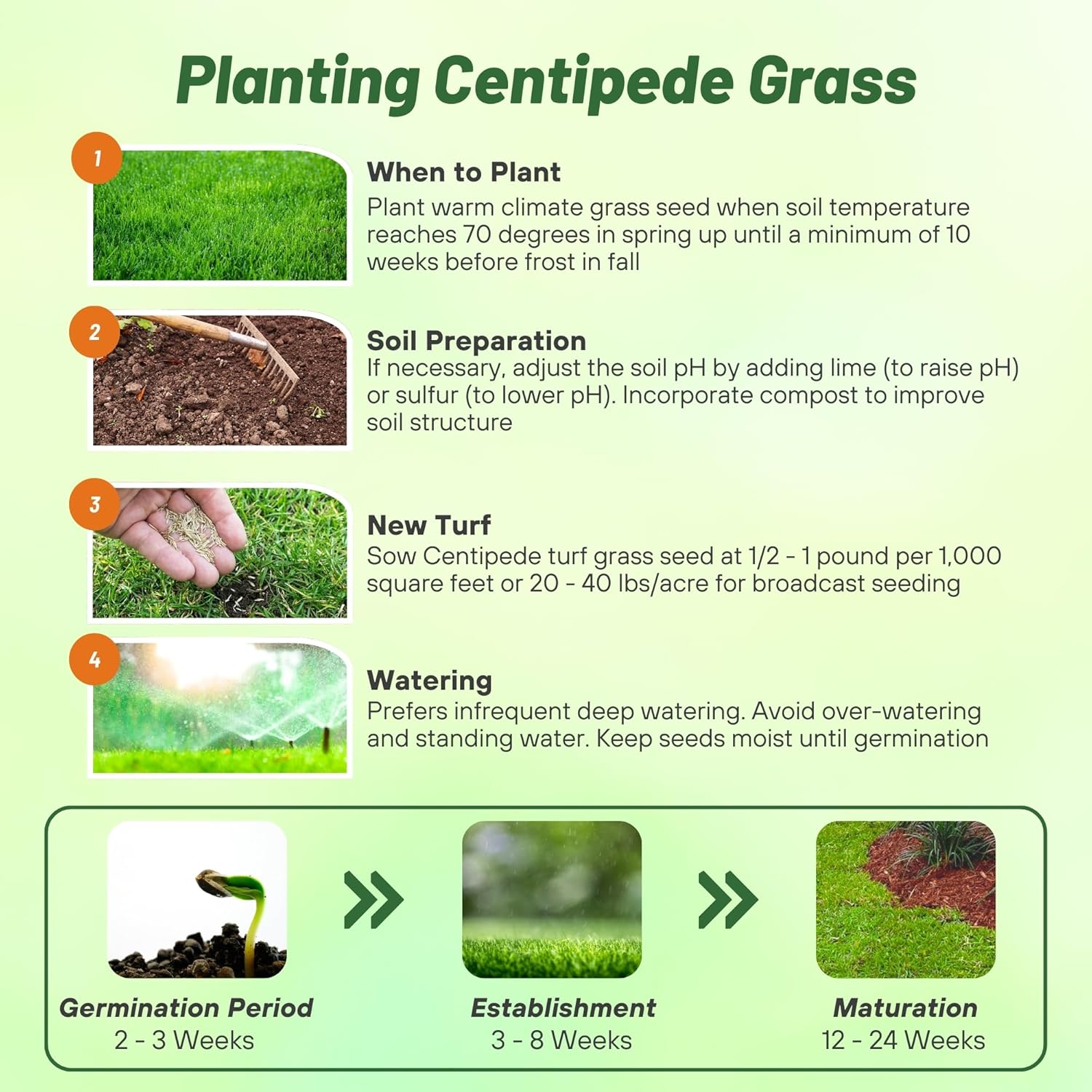 Centipede Planting Directions