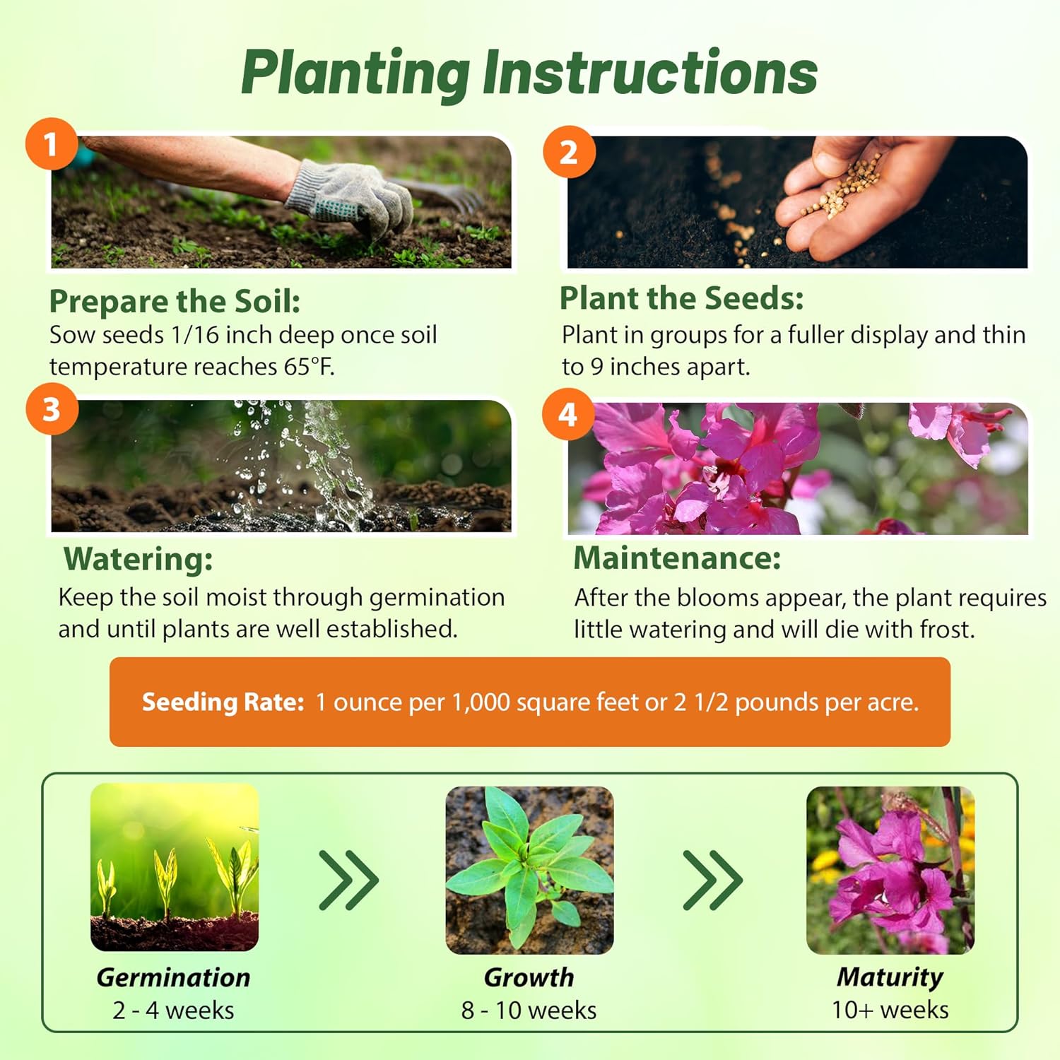 Mountain Garland Planting Directions