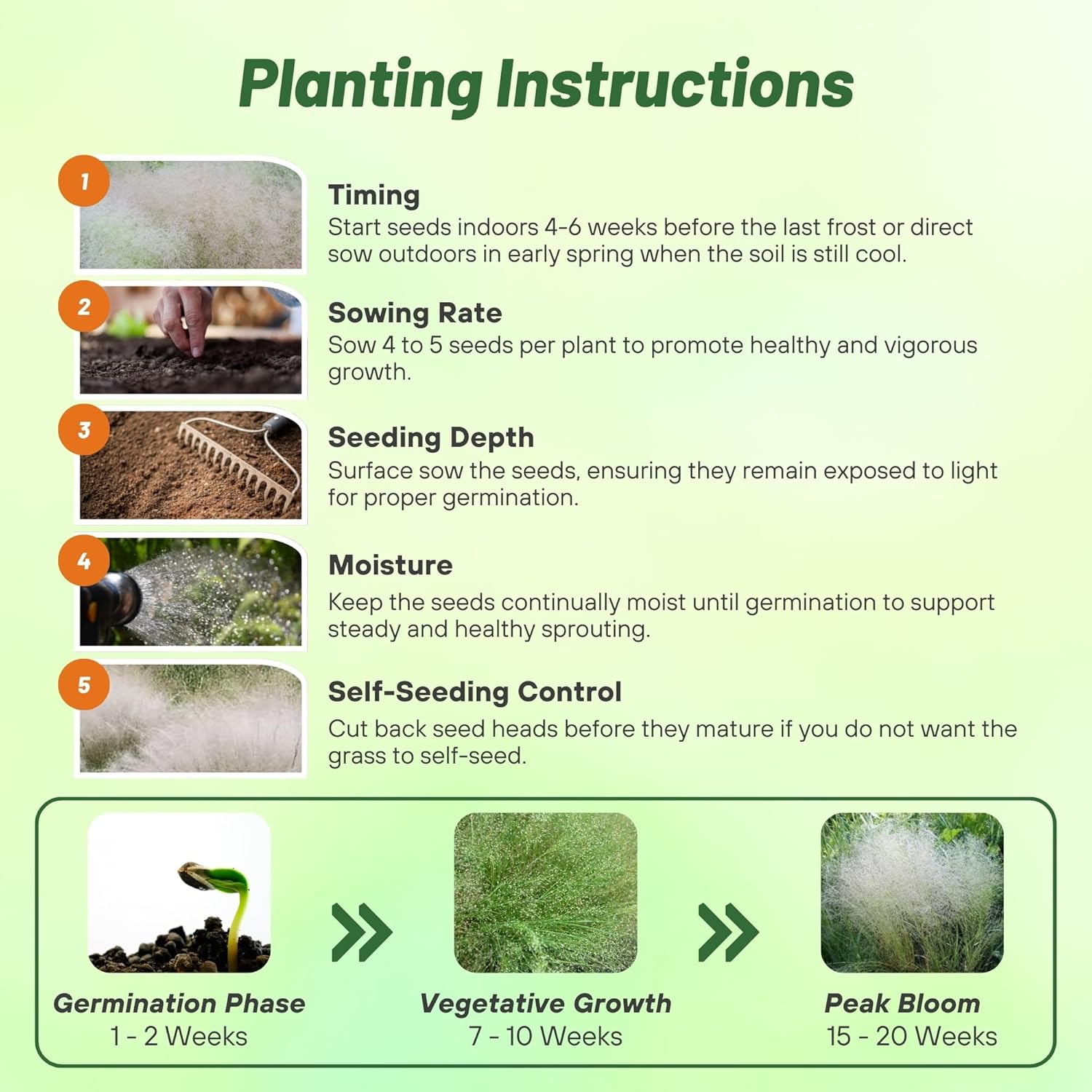 Cloud Grass Planting Directions