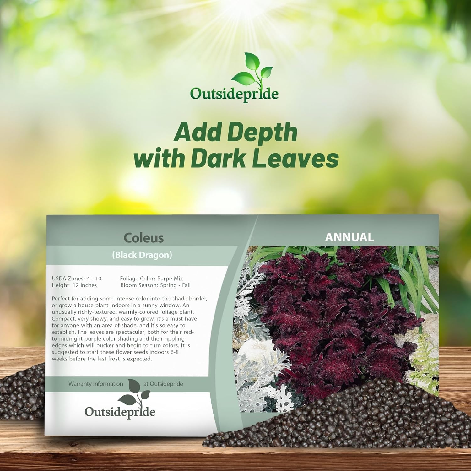 Coleus Black Dragon Seed Packet