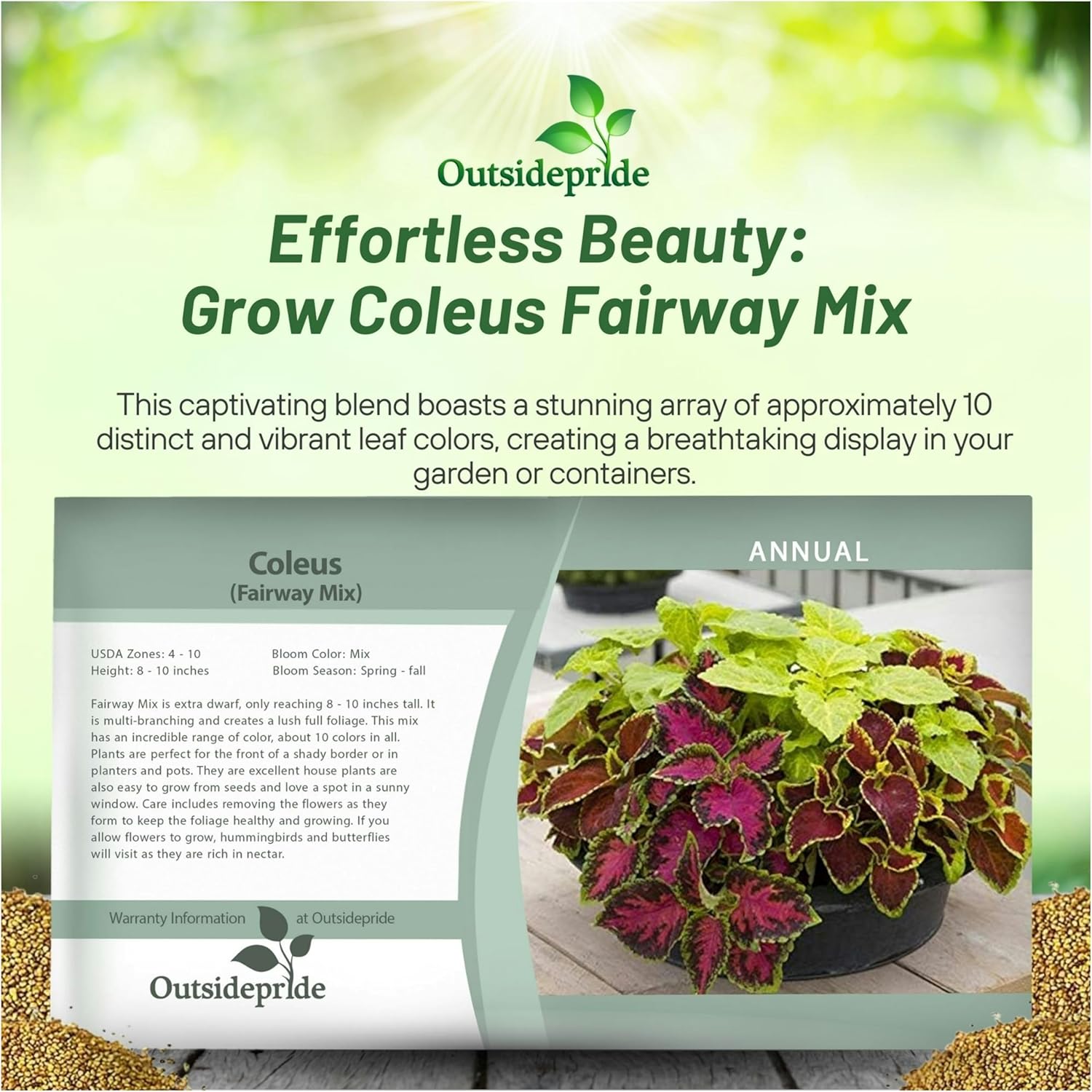 Coleus Fairway Seed Packet Mix