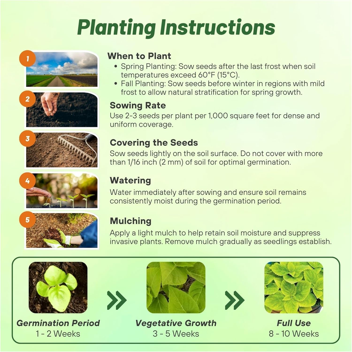 Coleus Lime Planting Directions