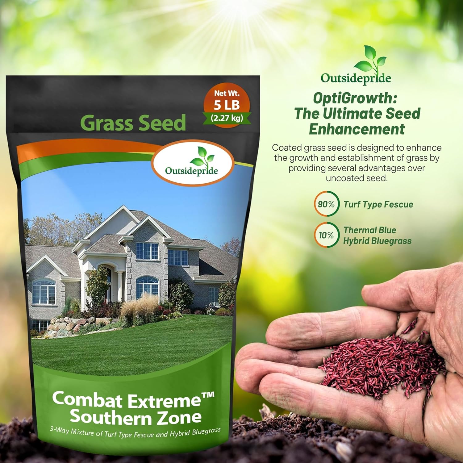 Combat Southern Lawn Grass Seed