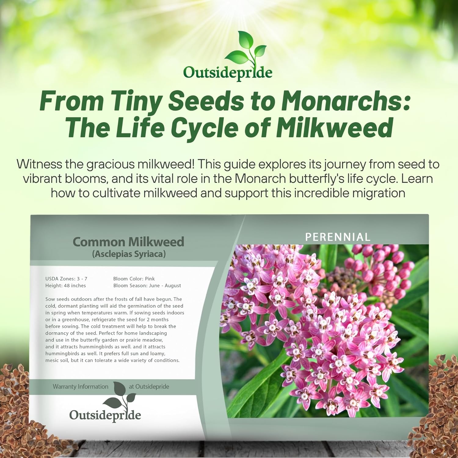 Common Milkweed Flower Seed Packet