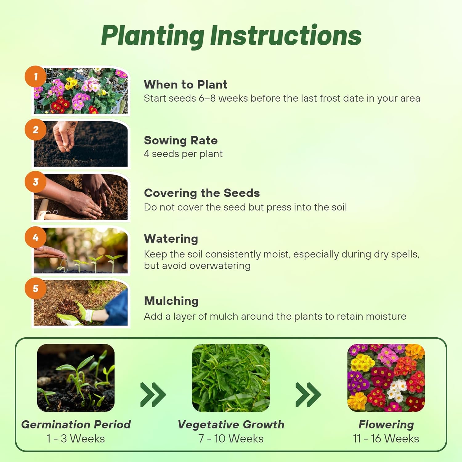 Common Primrose Grower Select Directions