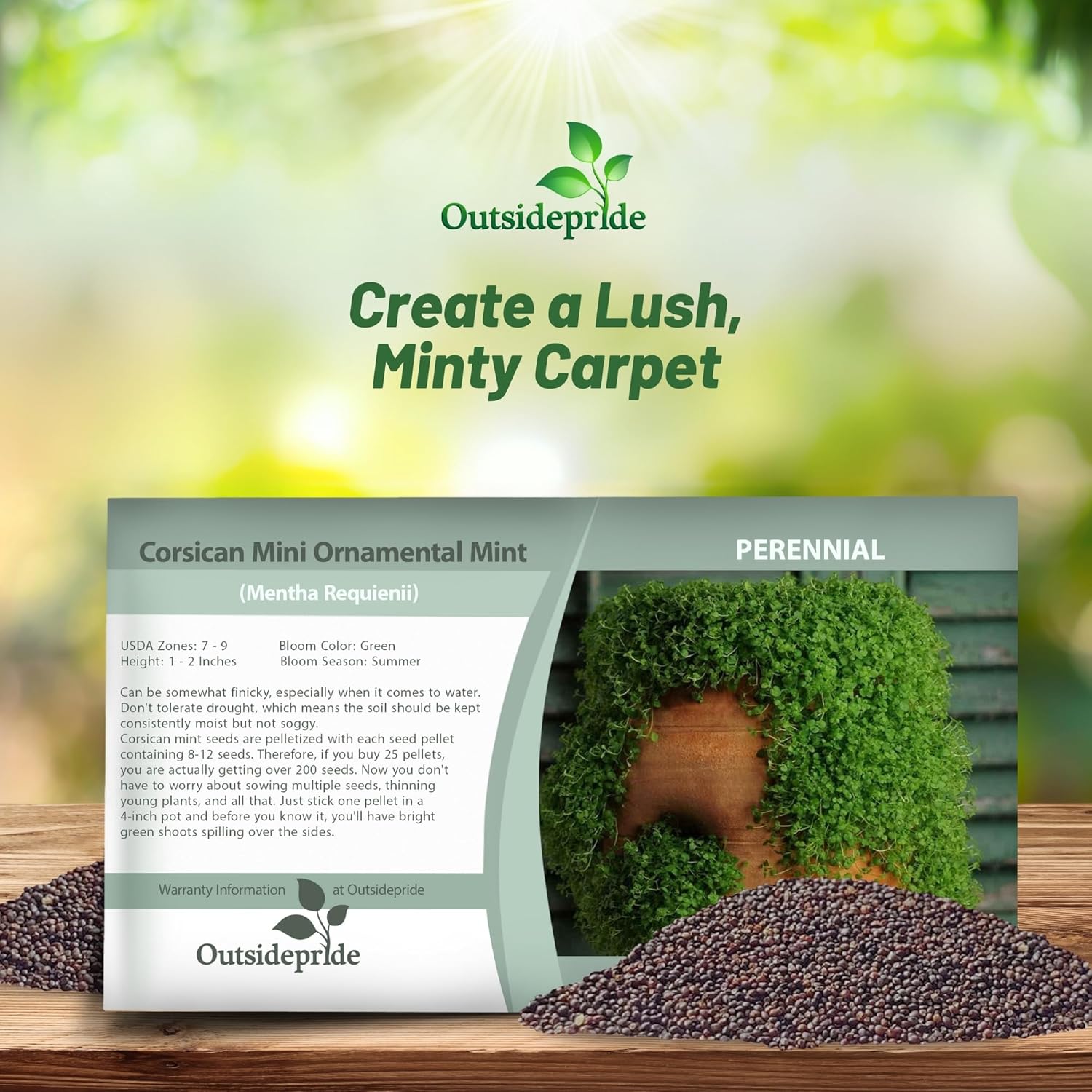 Corsican Mini Mint Seed Packet