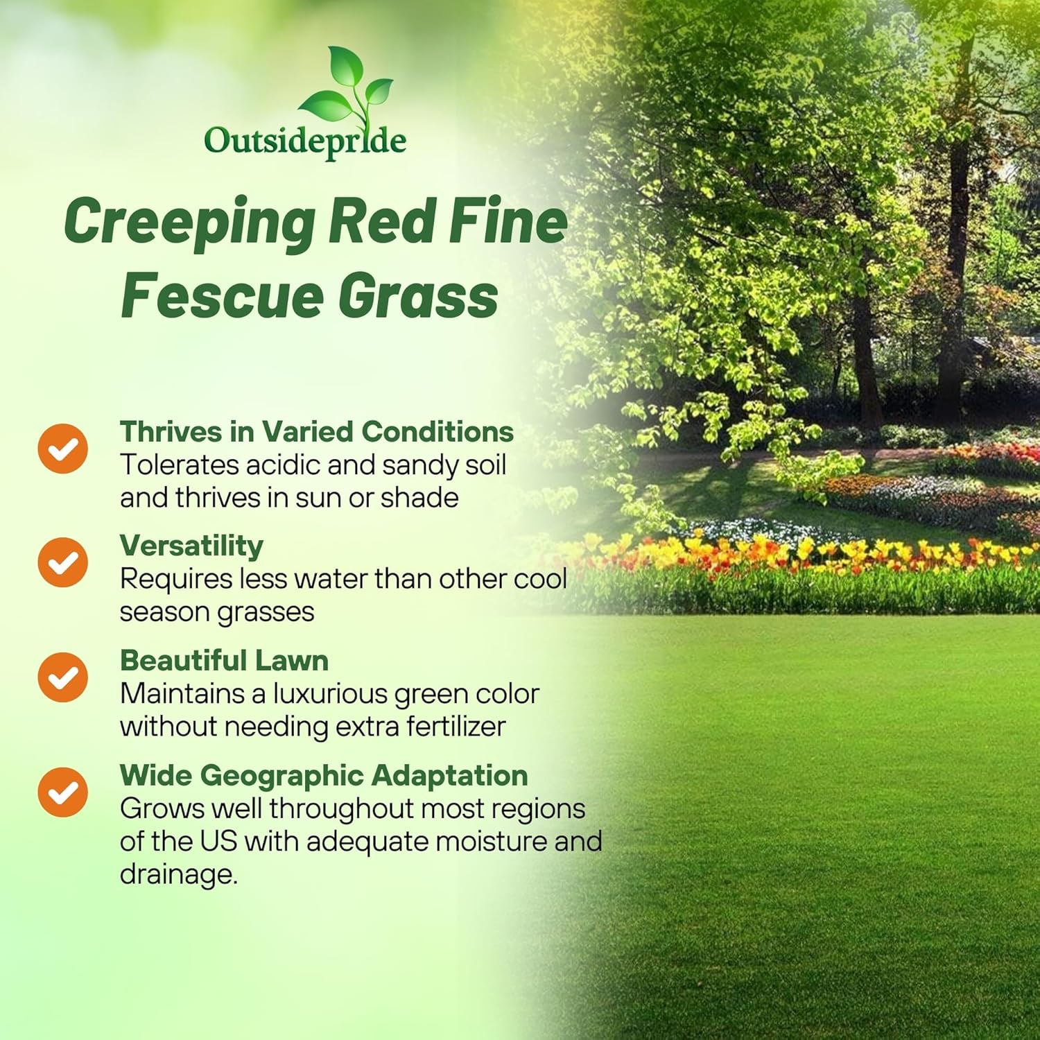 Creeping Red Fescue Planting Directions