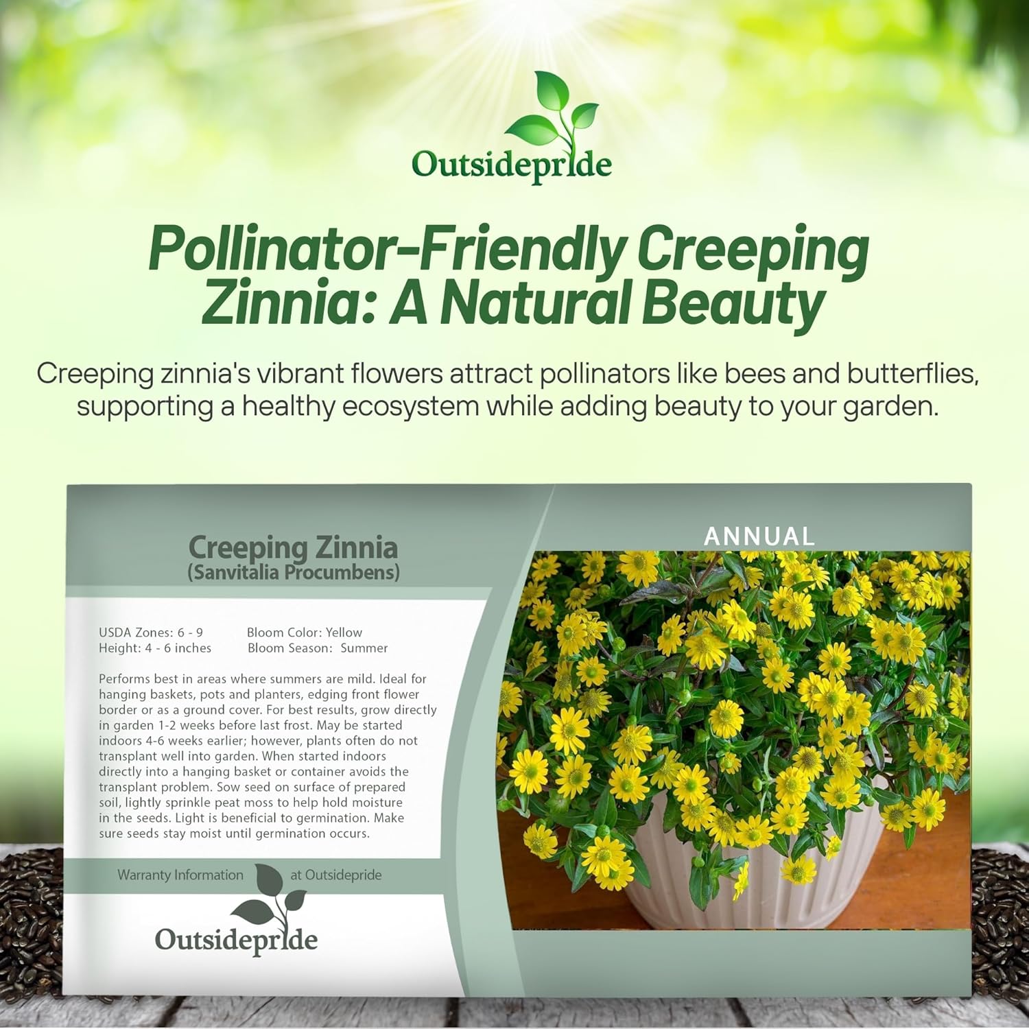 Creeping Zzinnia Seed Packet