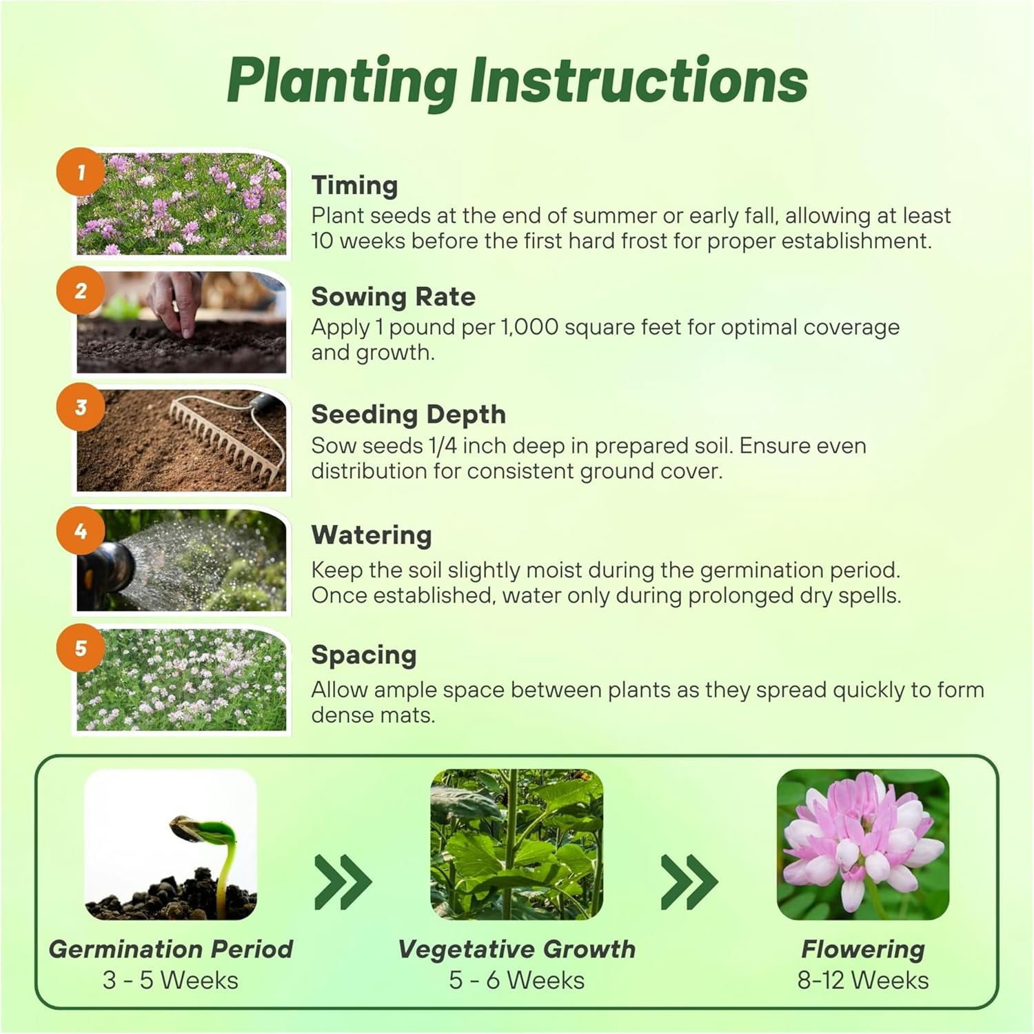 Crown Vetch Planting Directions