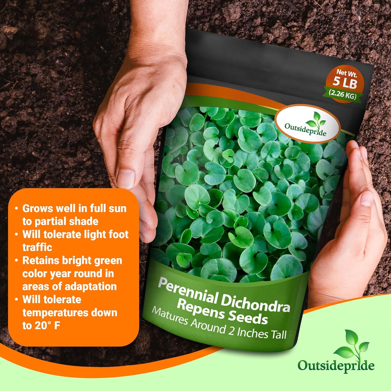 Dichondra Seed Bag