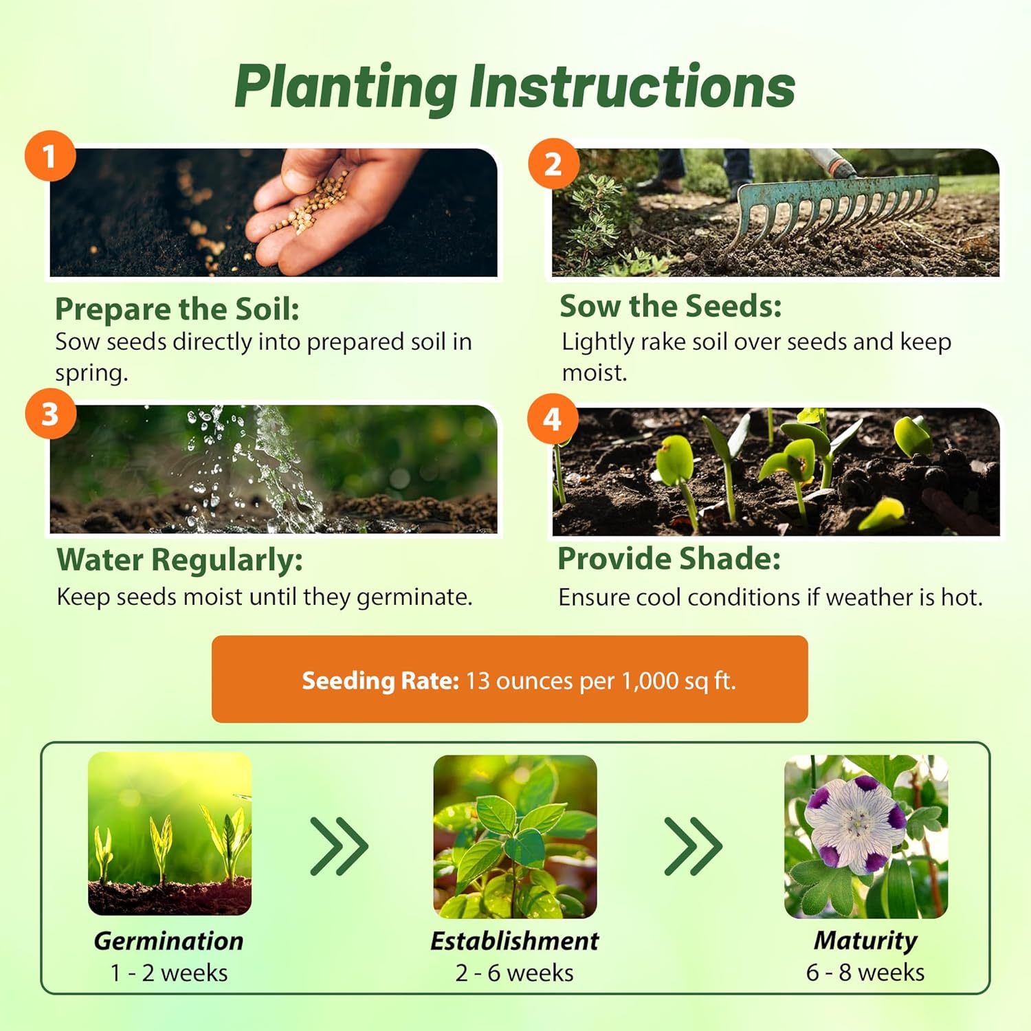 Five Spot Planting Directions